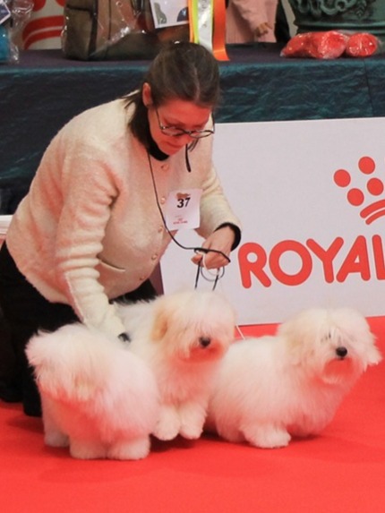 Les 3 soeurs à la NE du CCCE