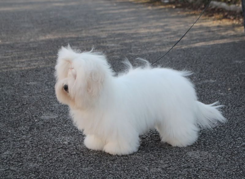 AMARENA CHERRY aujourd'hui