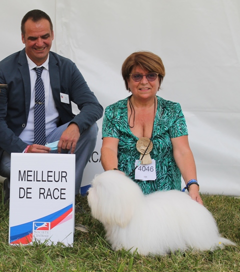 Meilleur de Race au Championnat de France - Dijon 2021