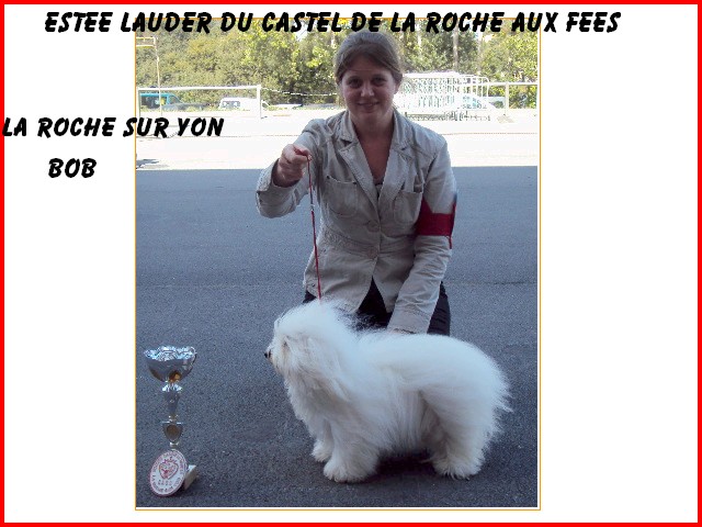 Titi à La Roche sur Yon
