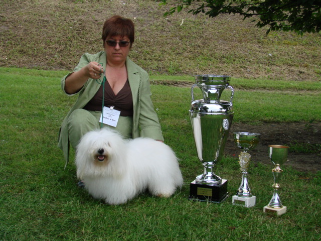 Volpone à Cognac en 2007 / CACS - Meilleur de Race - Meilleur du 9e groupe - 2e Meilleur chien de l exposition